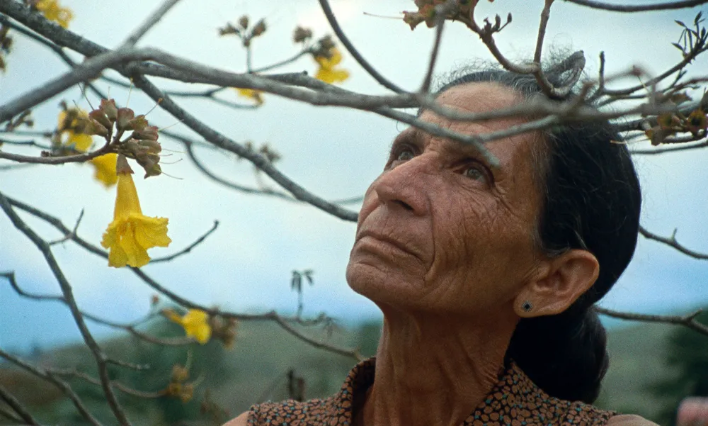 Jorge Thielen Armand Brings "Pasta Negra" to HollyShorts